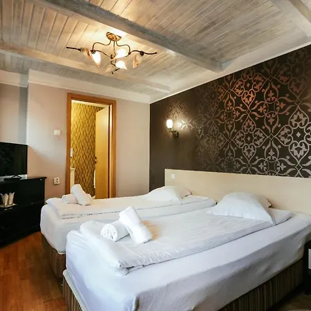 Hotel Vidalis Cluj-Napoca