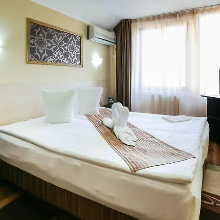 Vidalis Cluj-Napoca